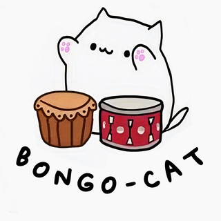 BONGOCAT